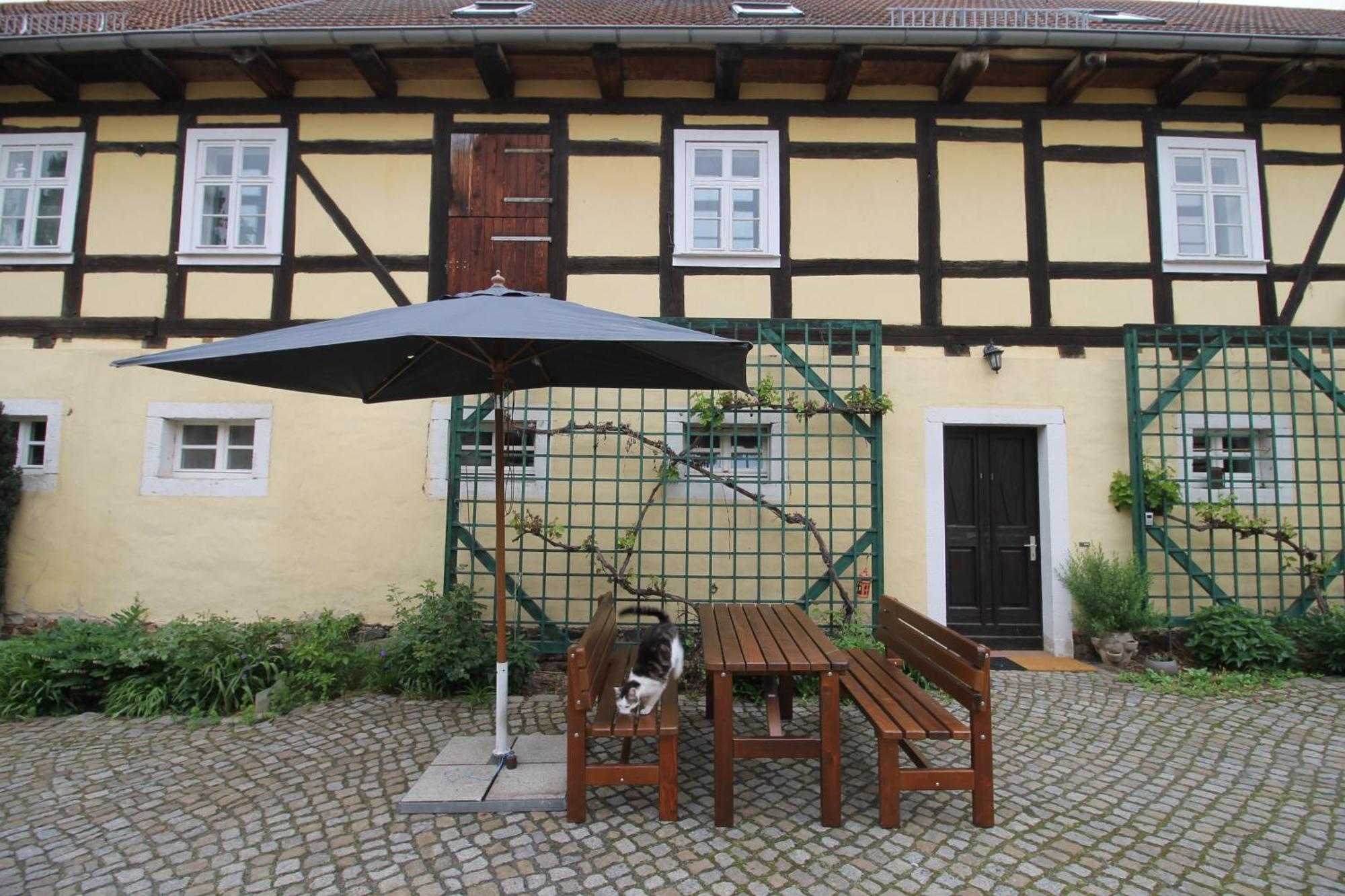 Appartement Zu Gast Bei Den Zaungaesten Radeburg
